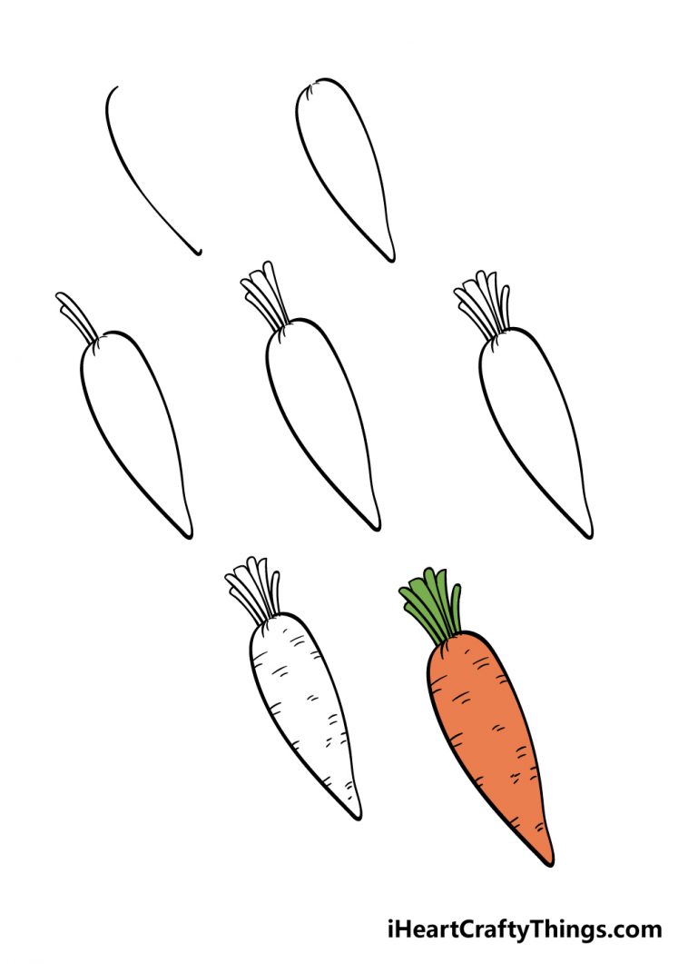 Carrot Drawing How To Draw A Carrot Step By Step