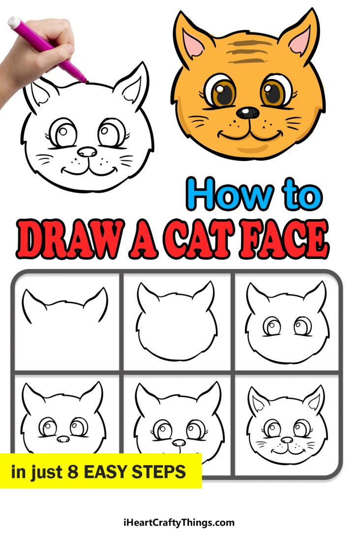 Cat Face Drawing How To Draw A Cat Face Step By Step