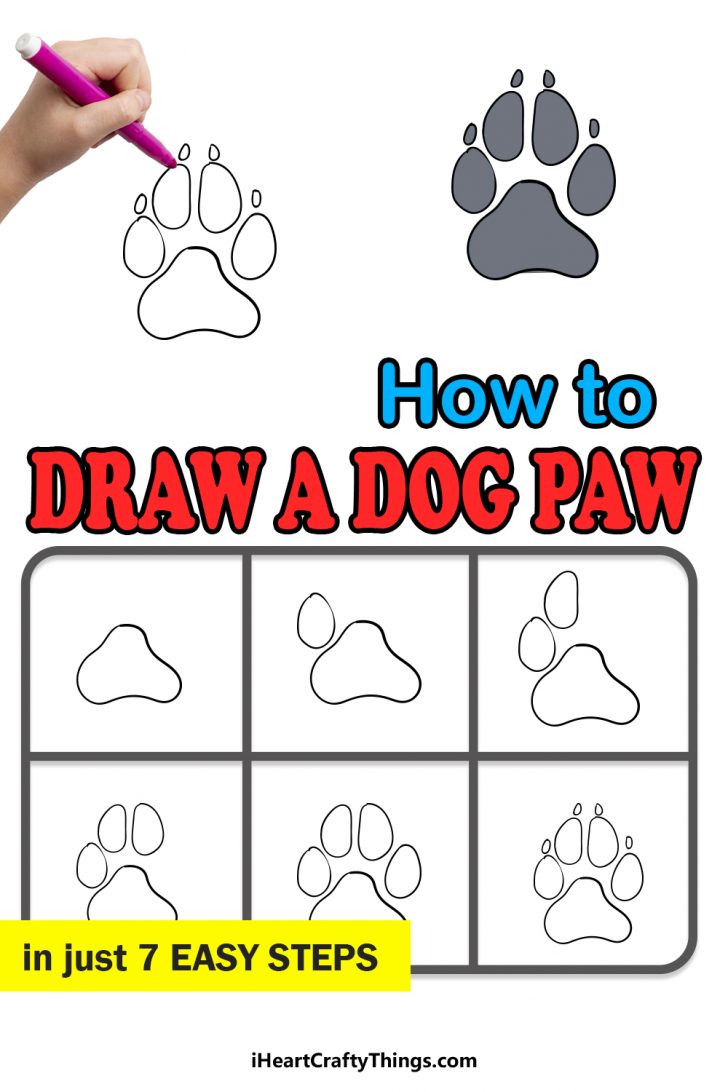 Dog Paw Drawing How To Draw A Dog Paw Step By Step   Dog Paw Pin 728x1092 