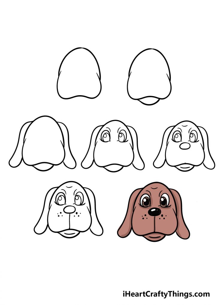 Dog Face Drawing - How To Draw A Dog Face Step By Step