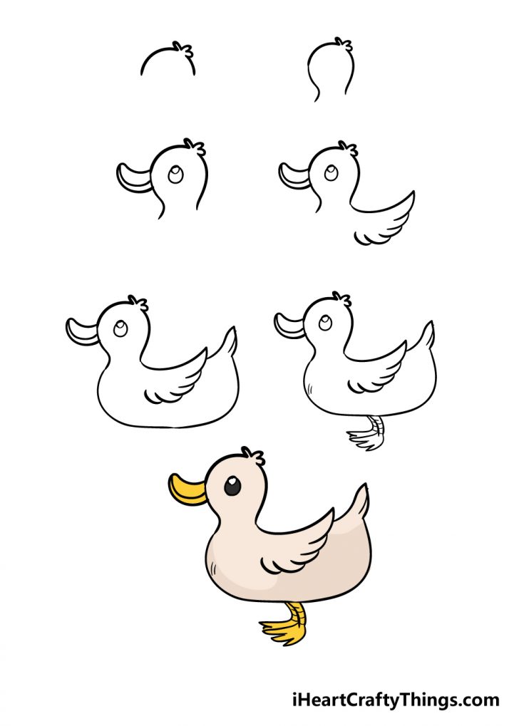Duck Drawing - How To Draw A Duck Step By Step
