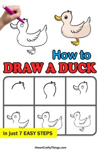Duck Drawing - How To Draw A Duck Step By Step