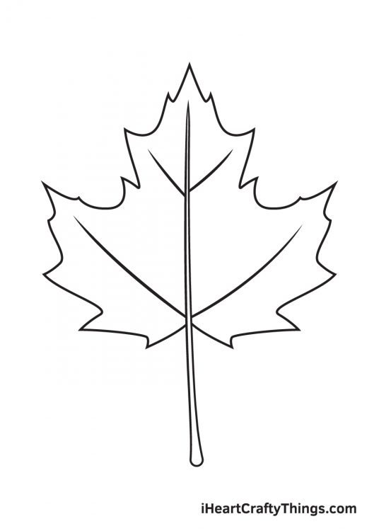 Fall Leaves Drawing - How To Draw Fall Leaves Step By Step