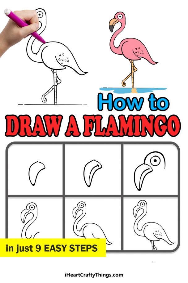 Flamingo Drawing - How To Draw A Flamingo Step By Step