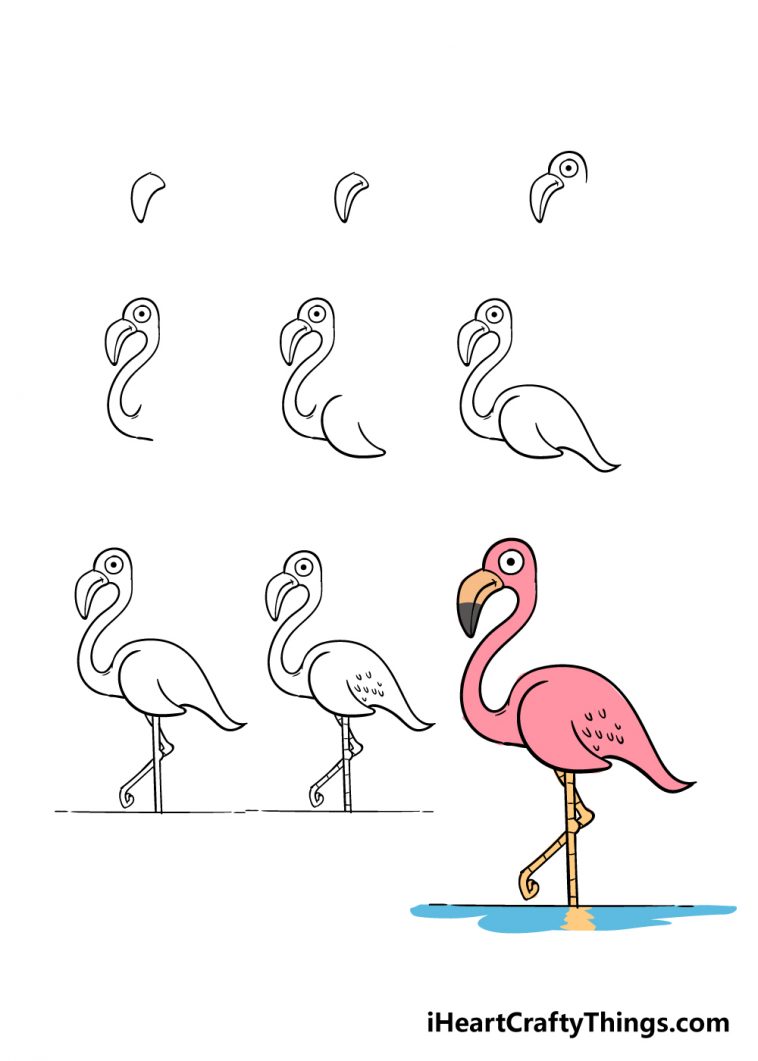 Flamingo Drawing - How To Draw A Flamingo Step By Step