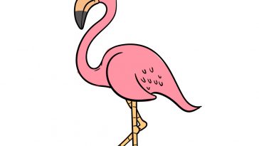 how to draw flamingo image