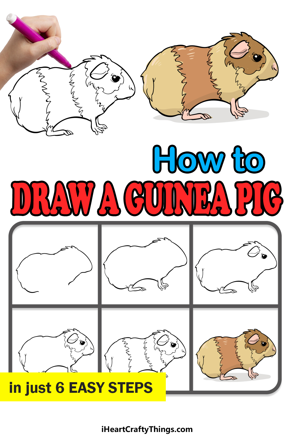 how to draw a guinea pig in 6 easy steps