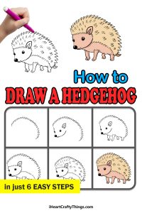 Hedgehog Drawing - How To Draw A Hedgehog Step By Step