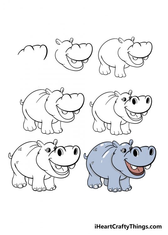 Hippo Drawing - How To Draw A Hippo Step By Step