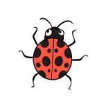 how to draw ladybug image