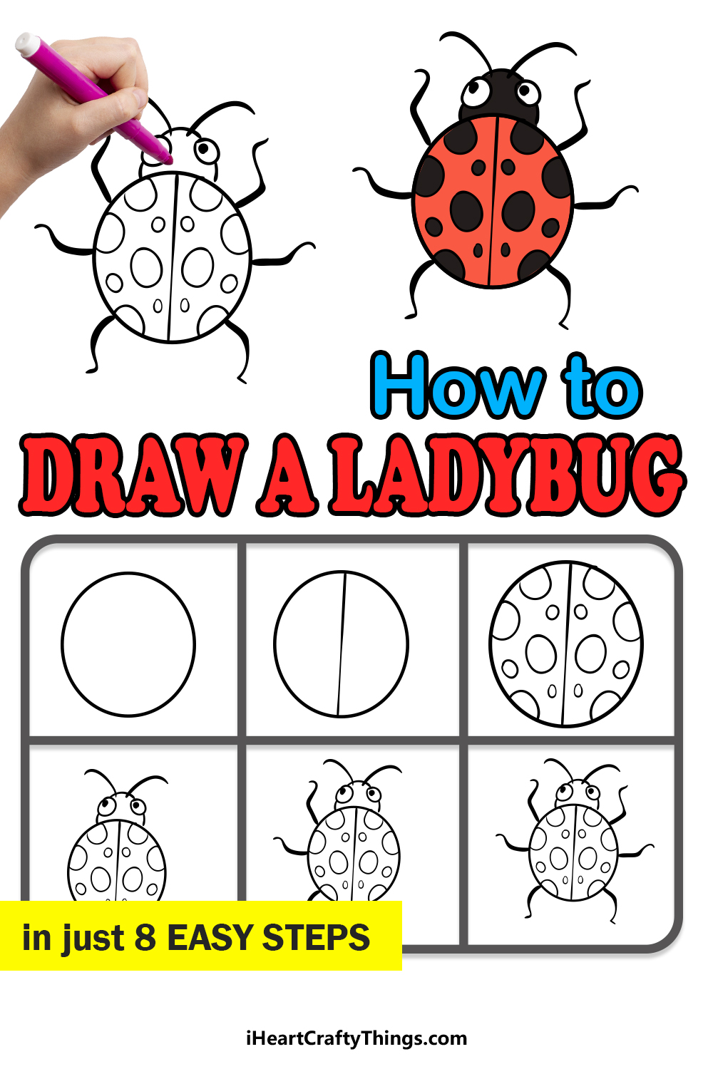 how to draw a ladybug step by step