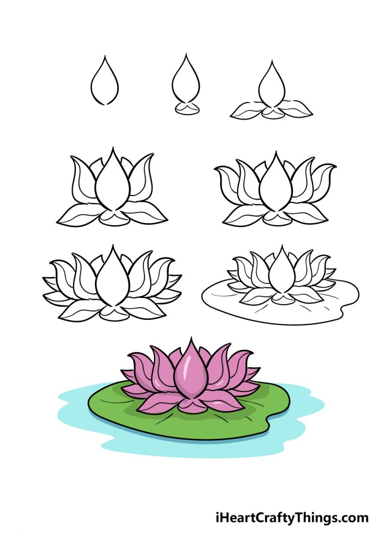 Lotus Flower Drawing - How To Draw A Lotus Flower Step By Step