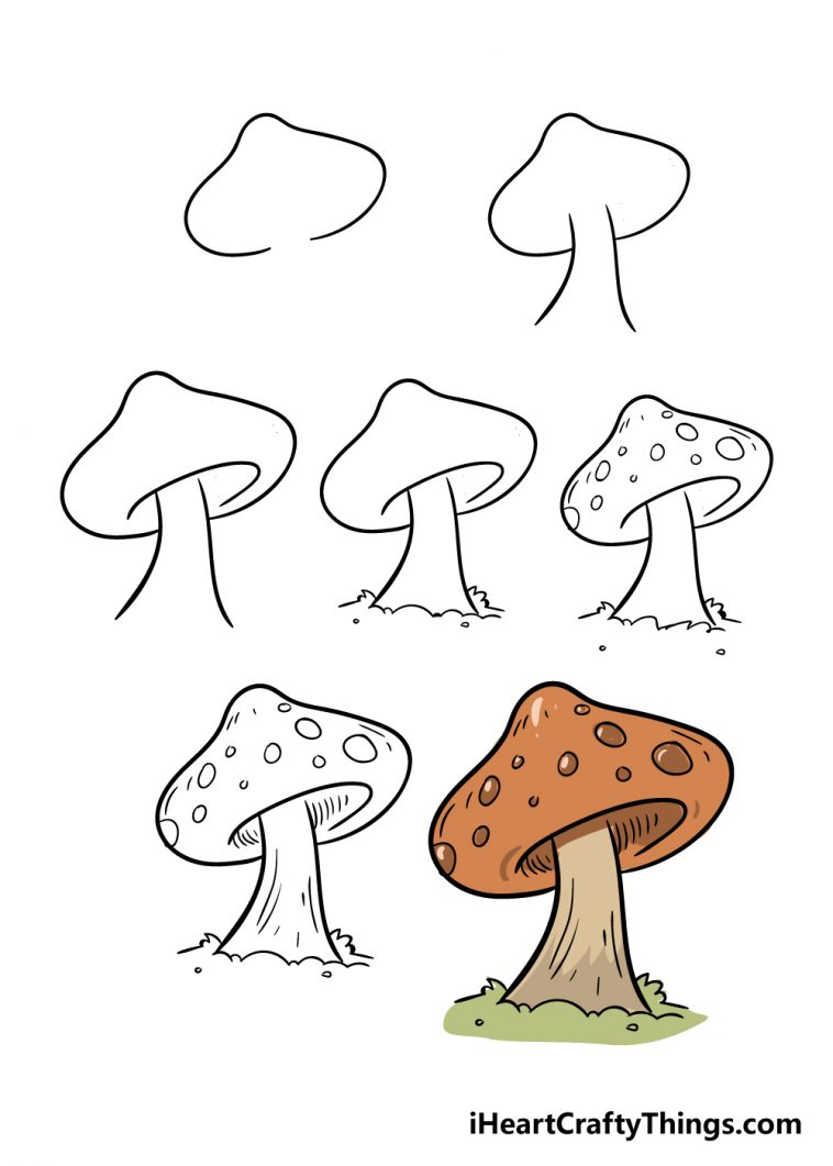 Mushroom Drawing How To Draw A Mushroom Step By Step
