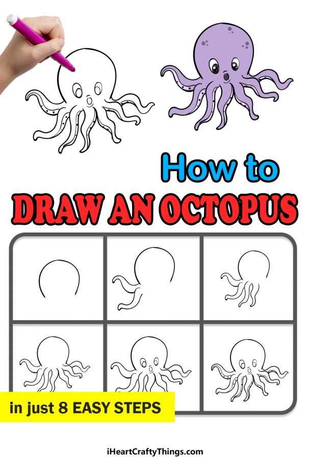 Octopus Drawing - How To Draw An Octopus Step By Step