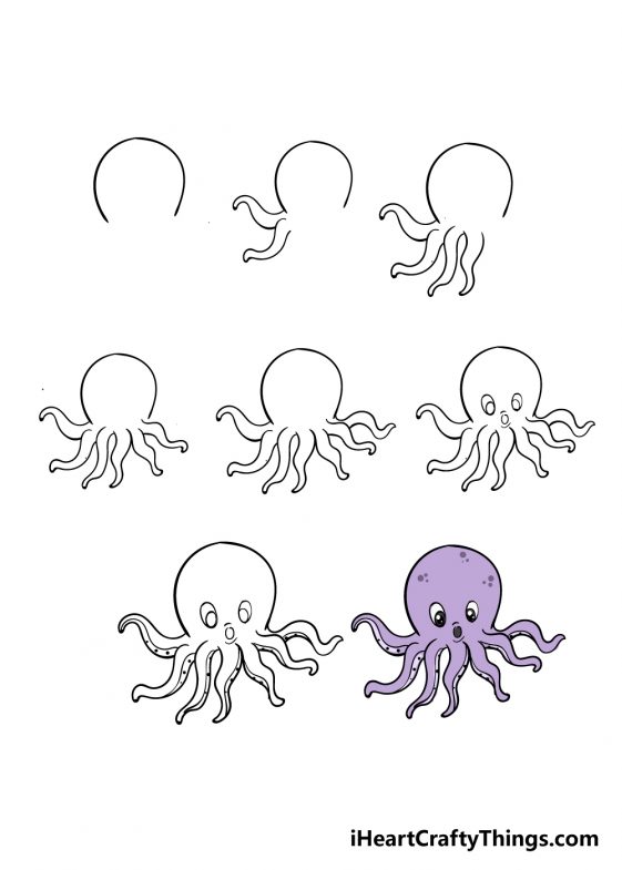 Octopus Drawing - How To Draw An Octopus Step By Step