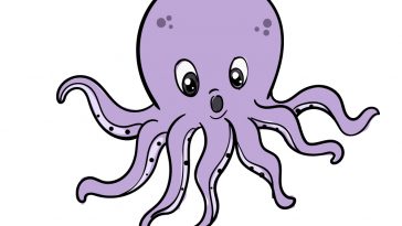 how to draw octopus image