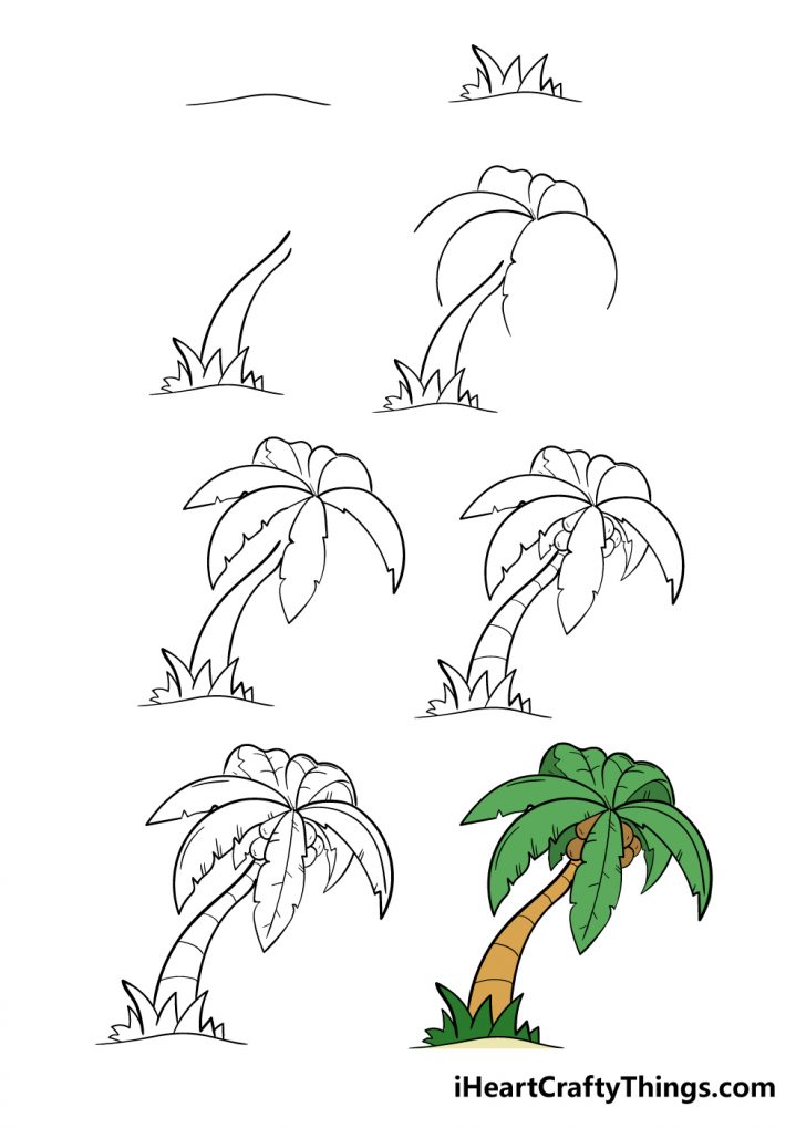 Palm Tree Drawing How To Draw A Palm Tree Step By Step