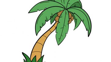 how to draw palm tree image