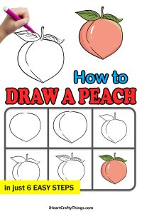 Peach Drawing - How To Draw A Peach Step By Step