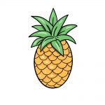 how to draw pineapple image