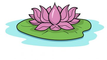 how to draw lotus flower image