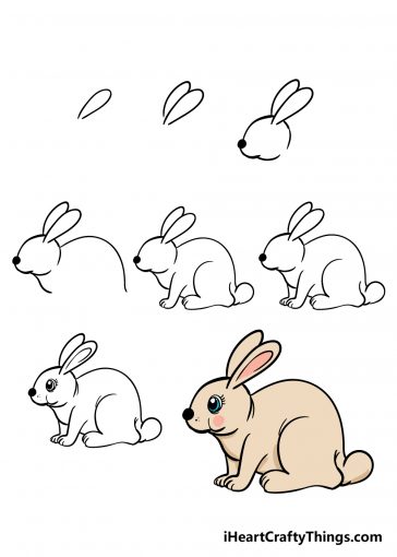 Rabbit Drawing - How To Draw A Rabbit Step By Step