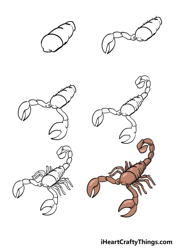 Scorpion Drawing - How To Draw A Scorpion Step By Step