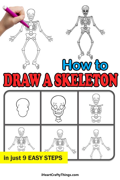 how to draw human skeleton step by step