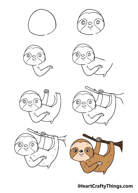 Sloth Drawing - How To Draw A Sloth Step By Step
