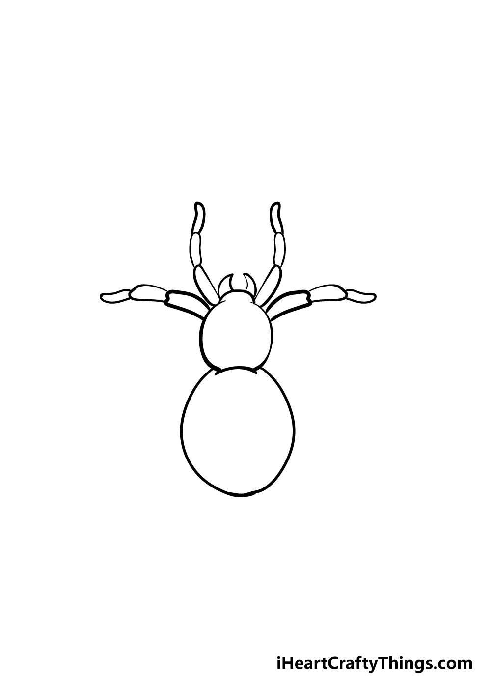 spider drawing step 4