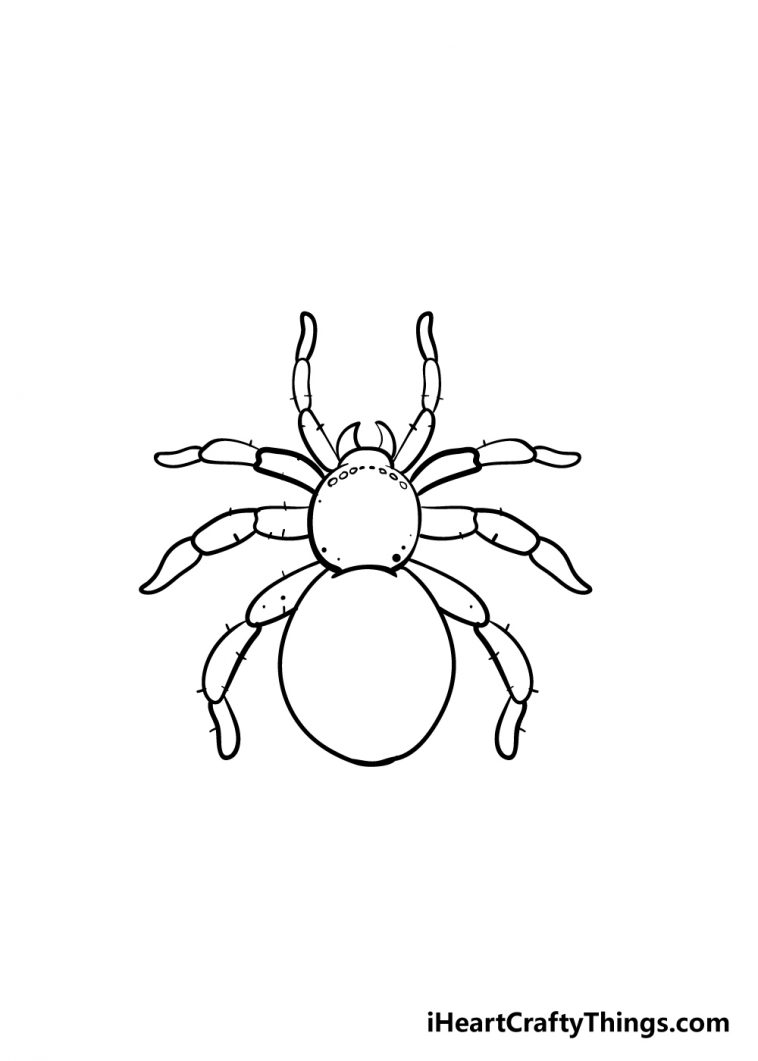 Spider Drawing - How To Draw A Spider Step By Step