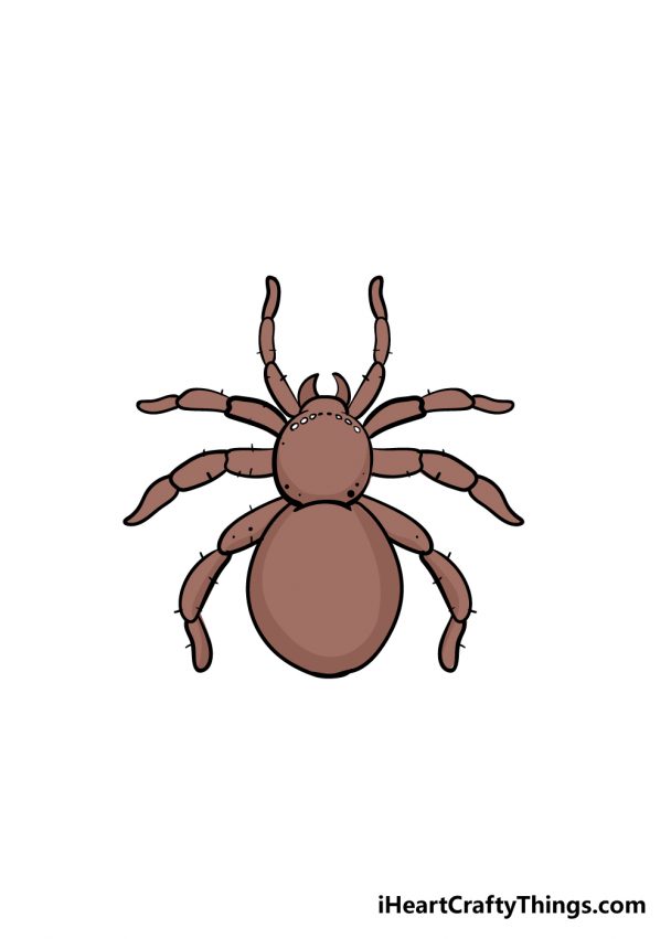 Spider Drawing - How To Draw A Spider Step By Step