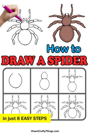 Spider Drawing - How To Draw A Spider Step By Step