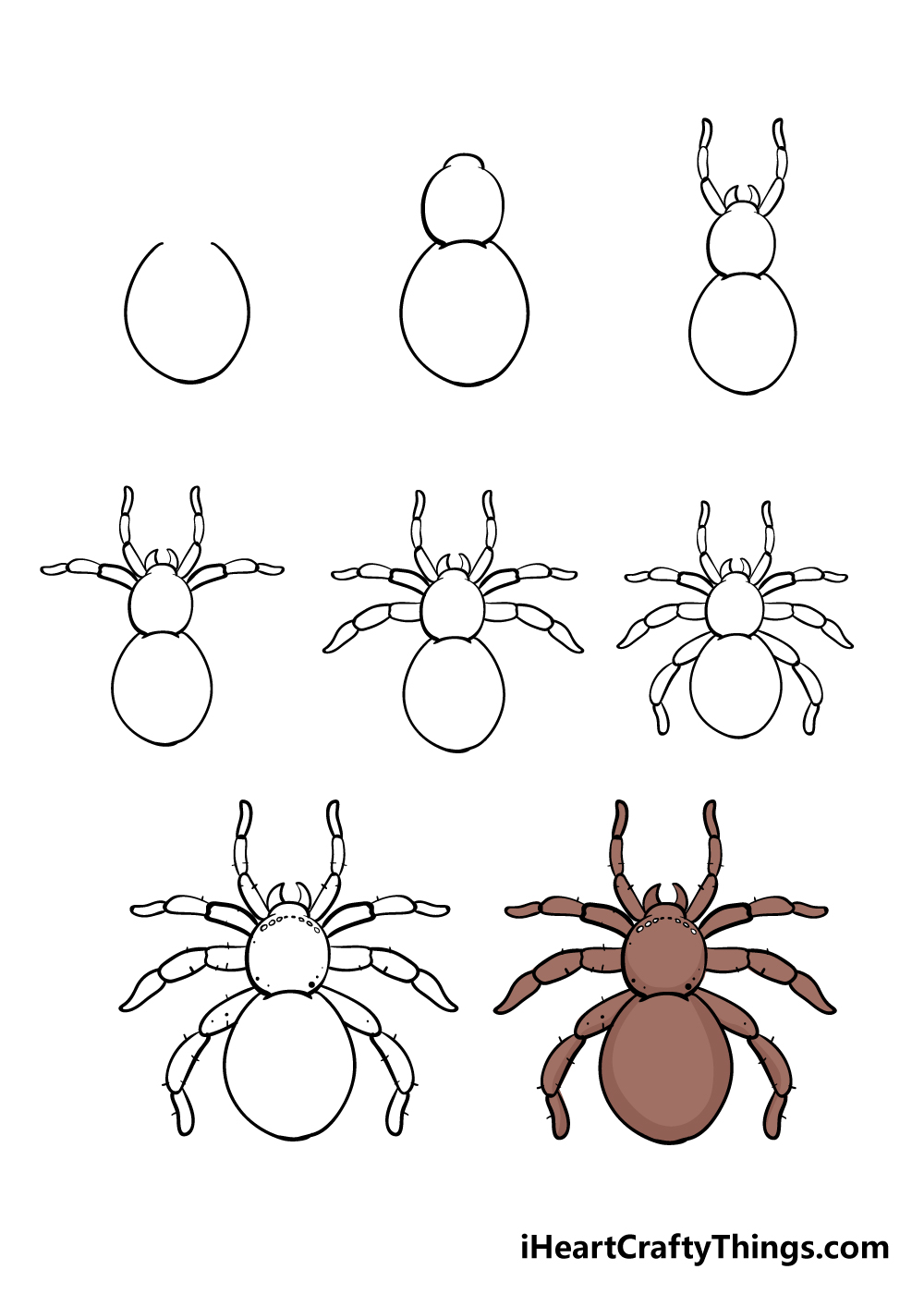 Easy Spider Drawing Step by Step Printable  Crafty Morning