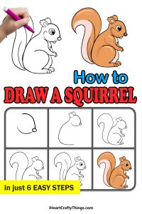 Squirrel Drawing - How To Draw A Squirrel Step By Step