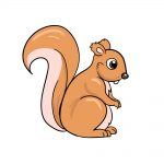 how to draw squirrel image