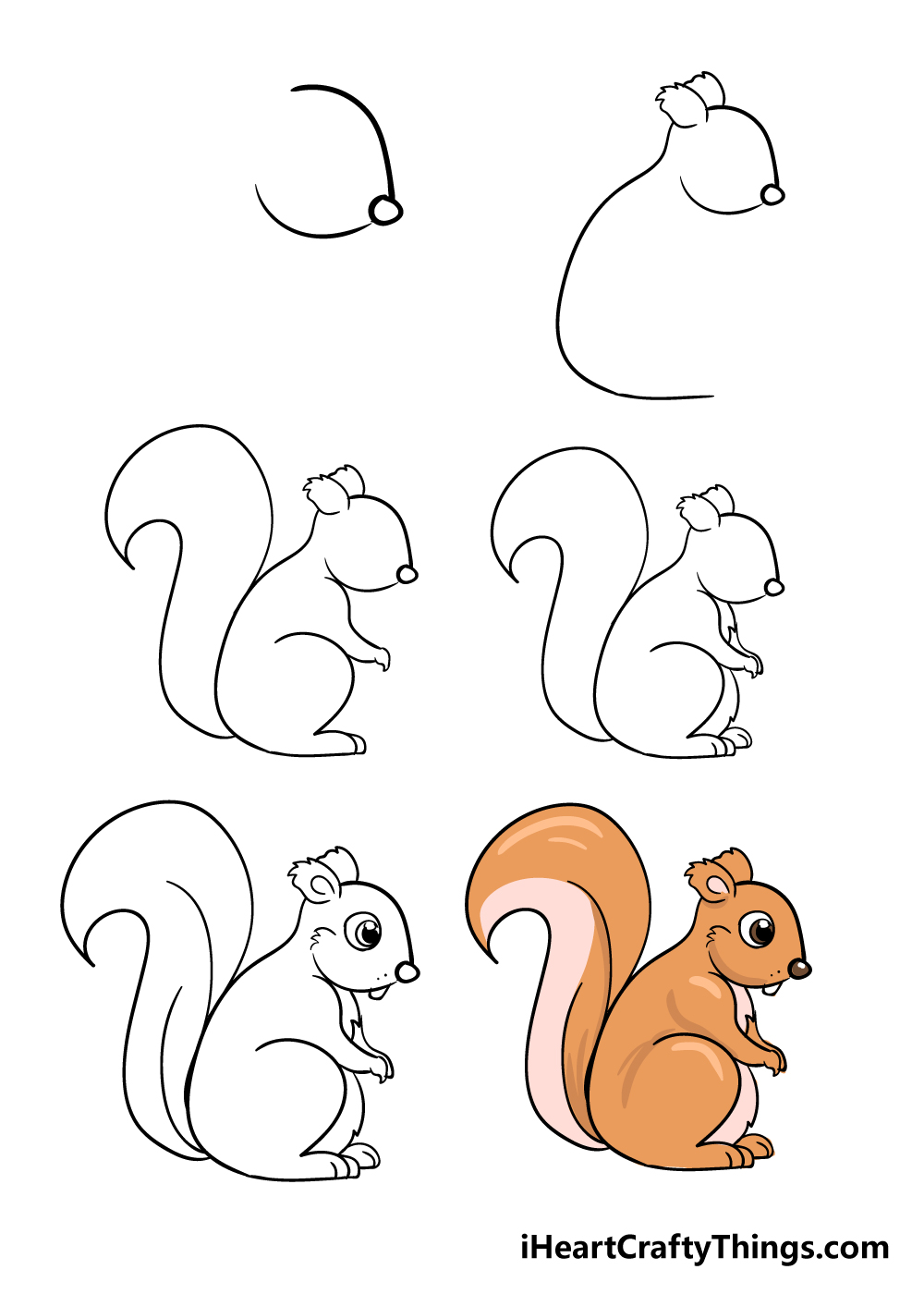 How to Draw A Squirrel A Step by Step Guide Hong Thai Hight Shool