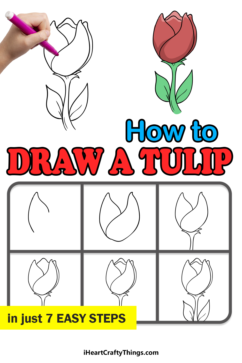 how to draw a tulip in 7 easy steps