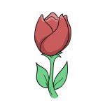 how to draw tulip image