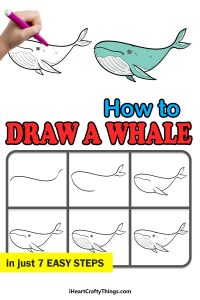 How To Draw A Whale Step By Step: Easy Whale Drawing For Kids