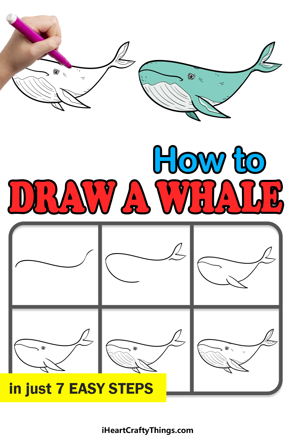 how to draw a whale in 7 easy steps