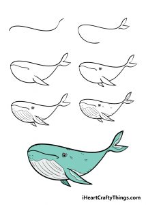 How To Draw A Whale Step By Step: Easy Whale Drawing For Kids