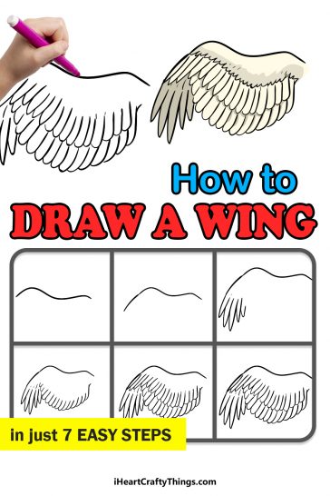 Wing Drawing - How To Draw A Wing Step By Step