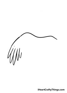 Wing Drawing - How To Draw A Wing Step By Step