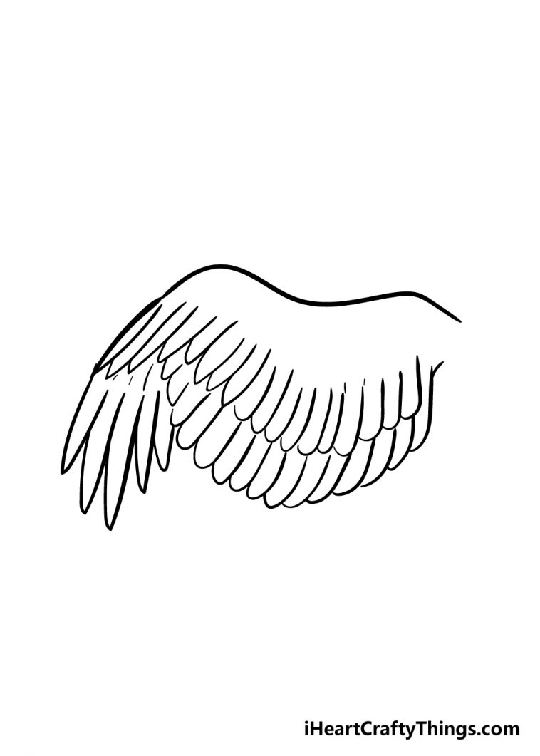 Wing Drawing - How To Draw A Wing Step By Step