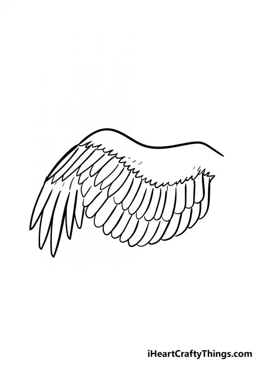 Wing Drawing - How To Draw A Wing Step By Step