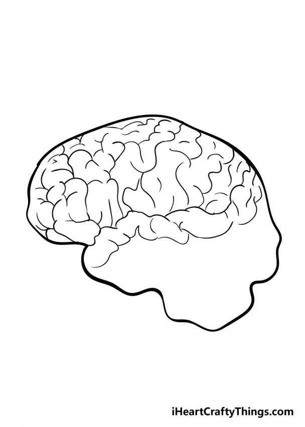 Brain Drawing - How To Draw A Brain Step By Step