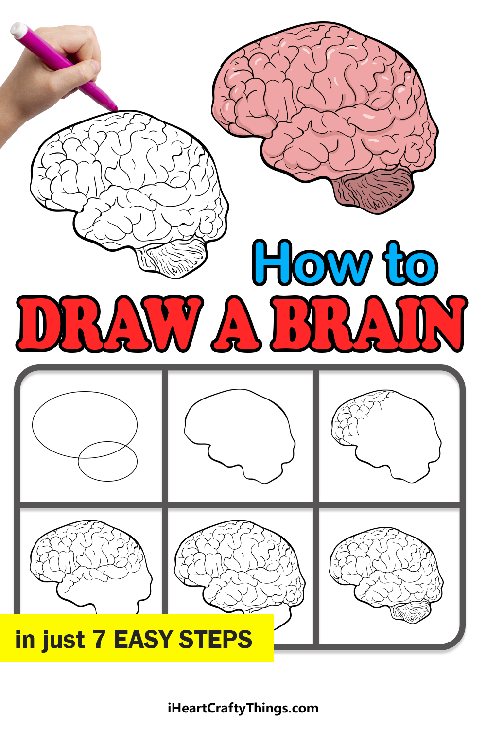 Brain Drawing - How To Draw A Brain Step By Step