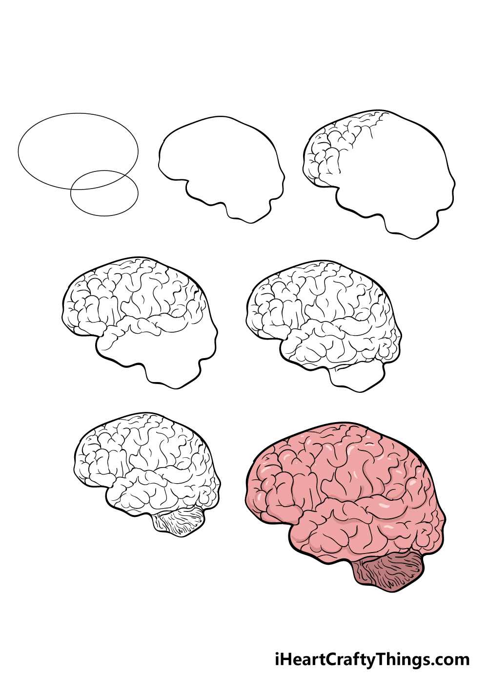 how to draw brain in 7 steps