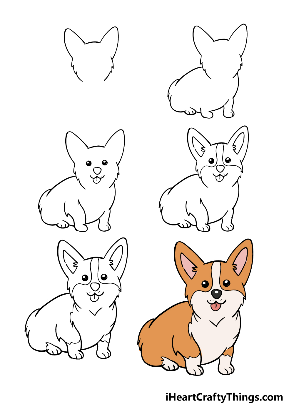 cách vẽ chó corgi trong 6 bước